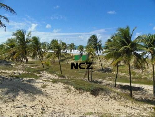 Fazenda à venda, 380000 m² por r$ 3.040.000 - litoral norte - jandaíra/ba - Foto 9