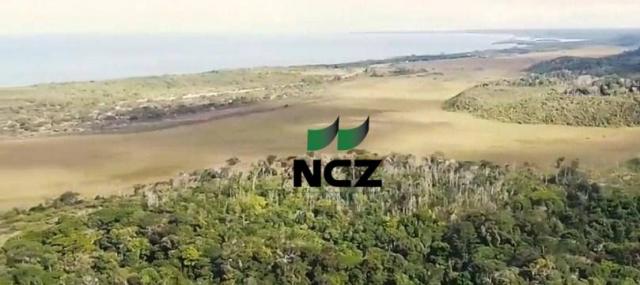 Fazenda à venda, 2100000 m² por r$ 21.000.000,00 - santo andré - santa cruz cabrália/ba - Foto 8