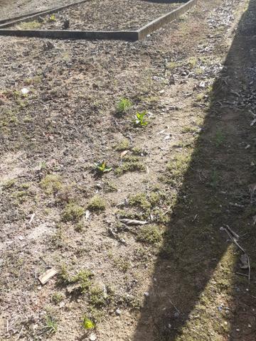 Terreno quitado - Foto 11