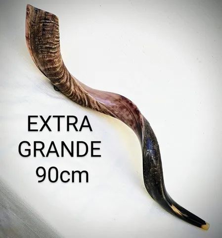 Shofar Kosher de Israel Extra Grande 