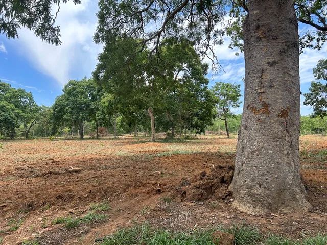 Chácara Hidrolândia - Foto 2