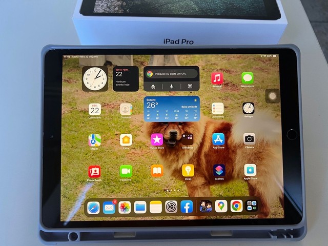 IPad Pro 256Gb 10 pol modelo A1701 prta - Computadores e acessórios -  Parque Residencial Casa Branca, Suzano 1161442245 | OLX