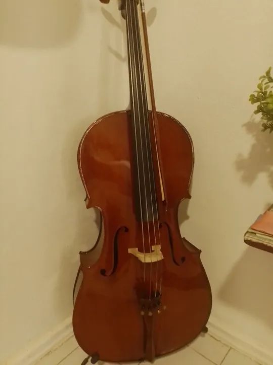Violoncelo Eagle C 200 - Foto 5