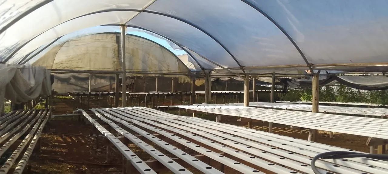 Vendo estufa agrícola hidropônica - Foto 3