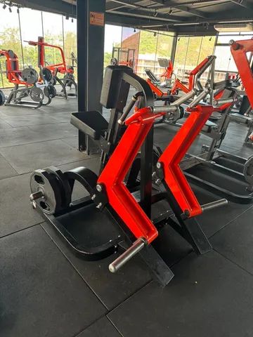 Remada articulada importada ( Technogym pure )
