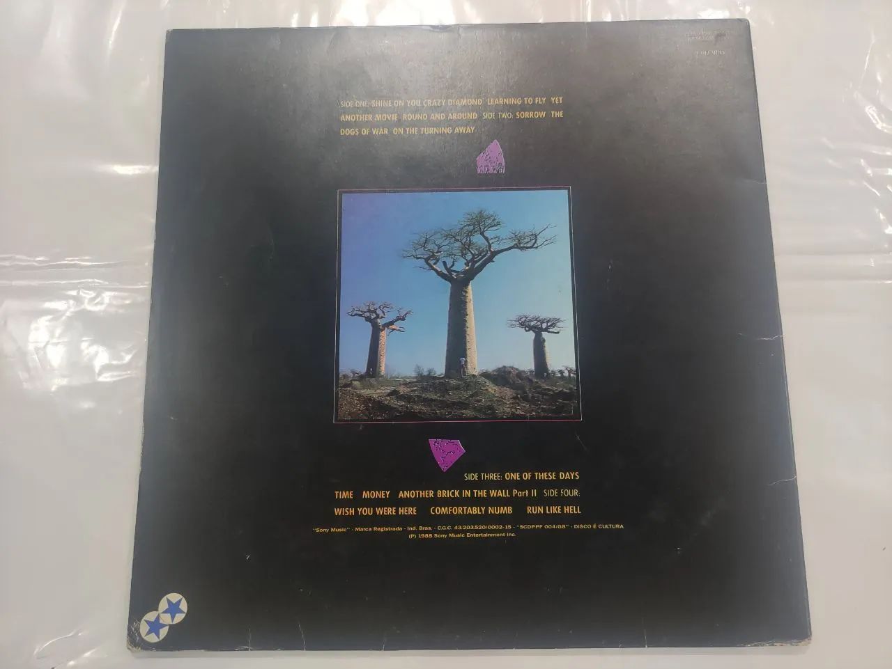 Pink Floyd - Delicate Sound of Thunder (Vinil) - Foto 2