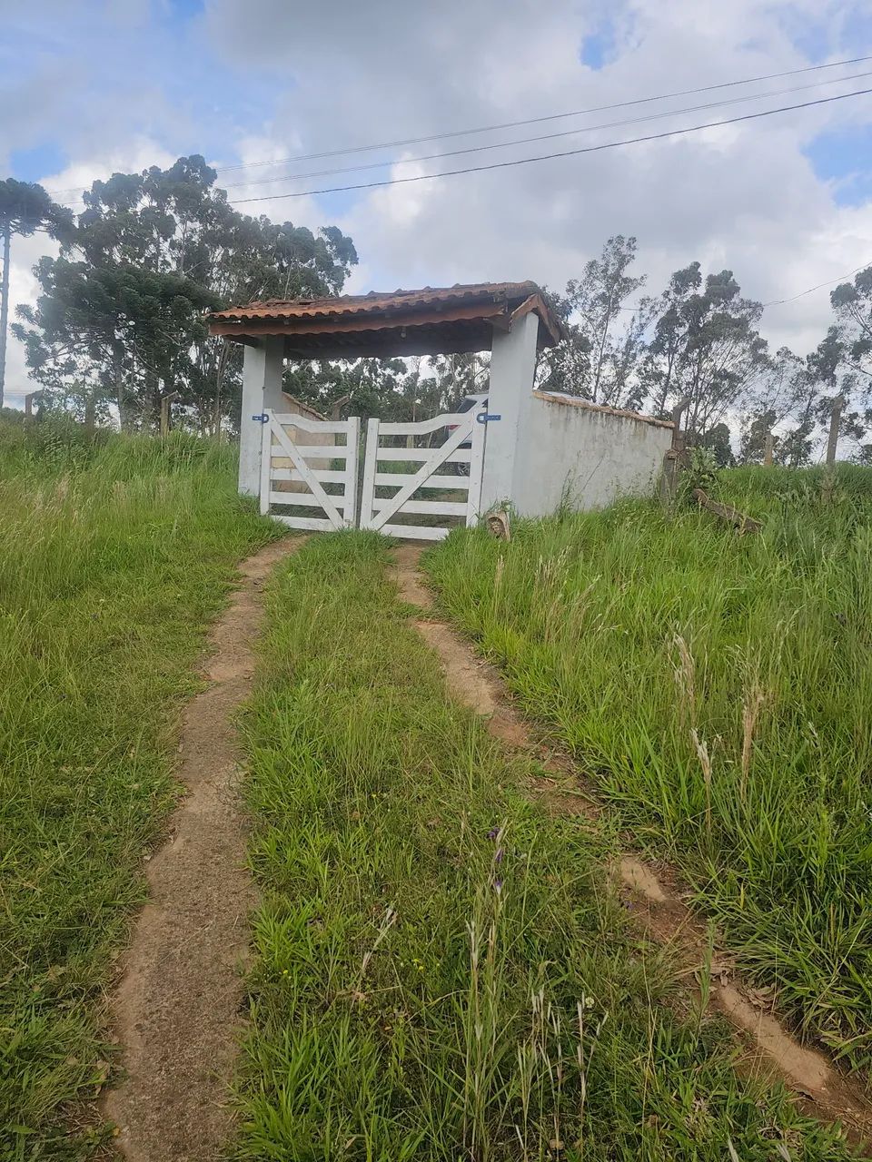 Chácara ramos  - Foto 5