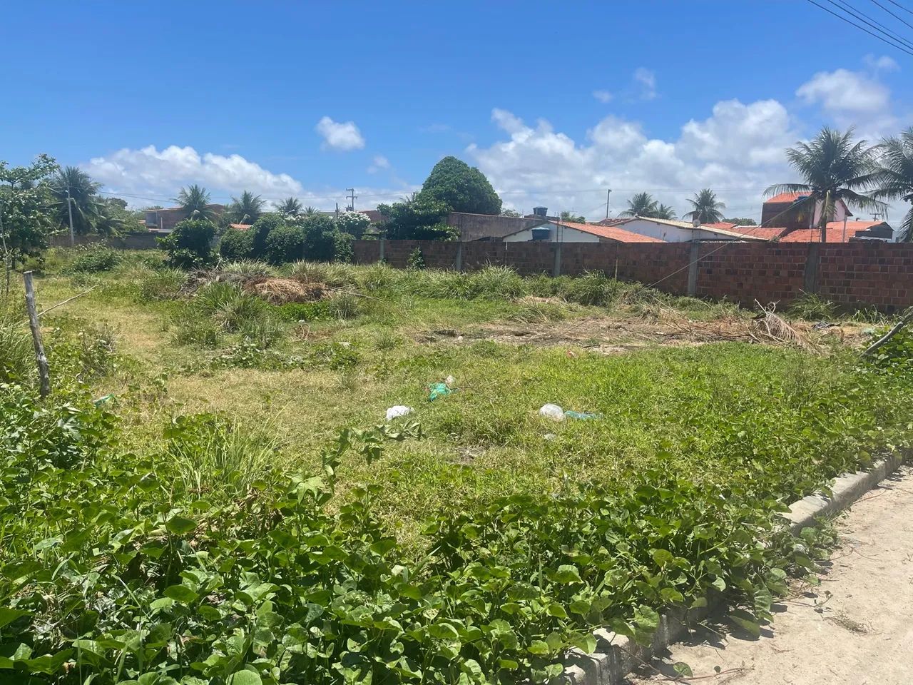 Terreno Barra de São Miguel - Foto 5