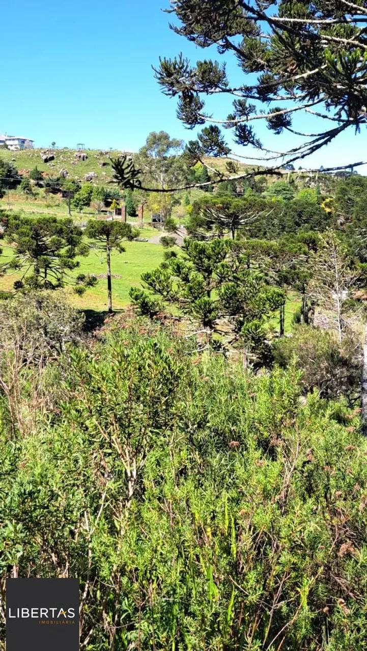 Fazenda em Centro