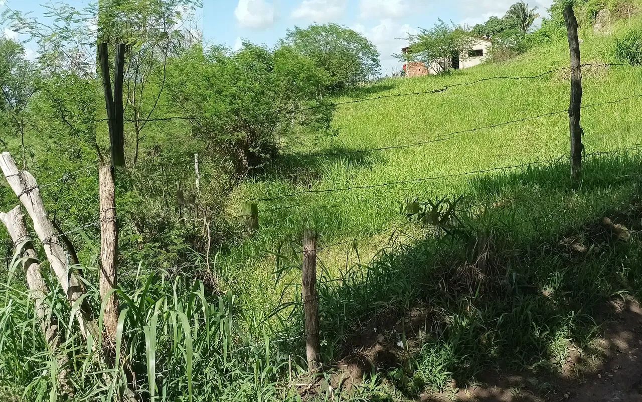 Terreno em Gravatá  - Foto 5