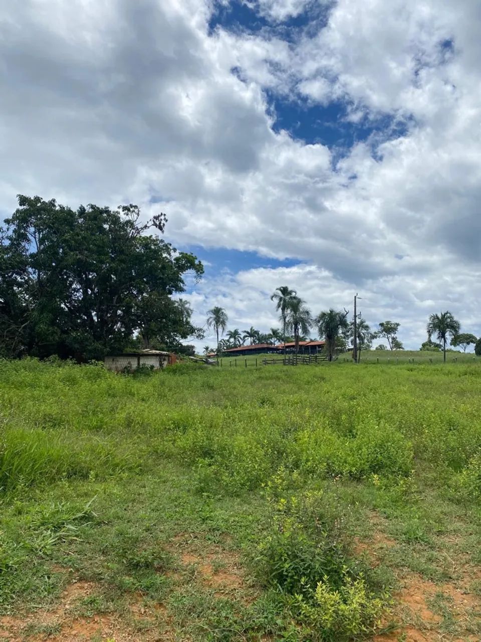 Fazenda em Padre Bernardo  - Foto 3