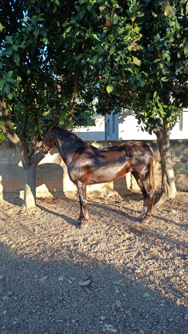 Foto - Belo Horizonte - União