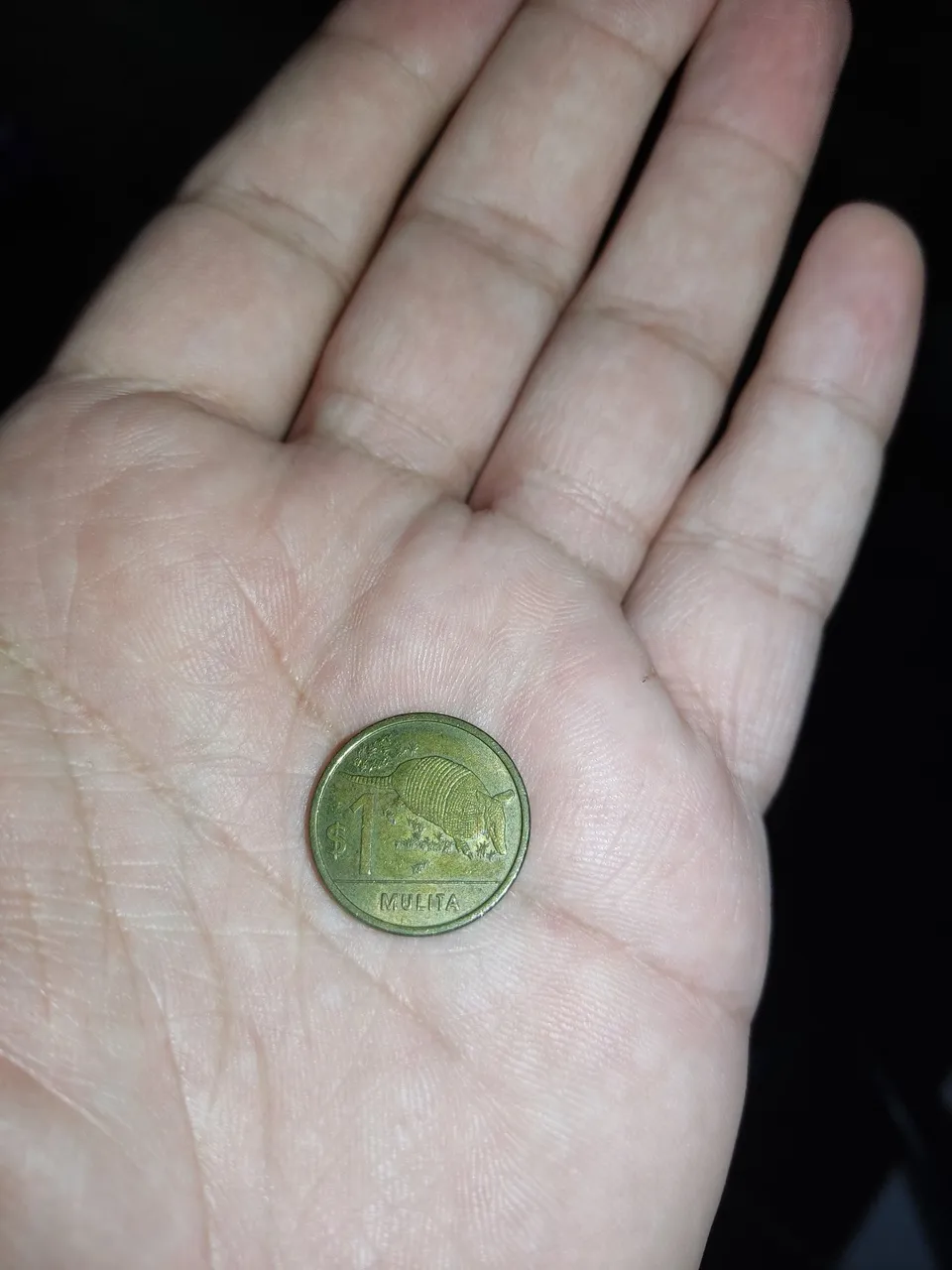 Moeda de 1 Mulita