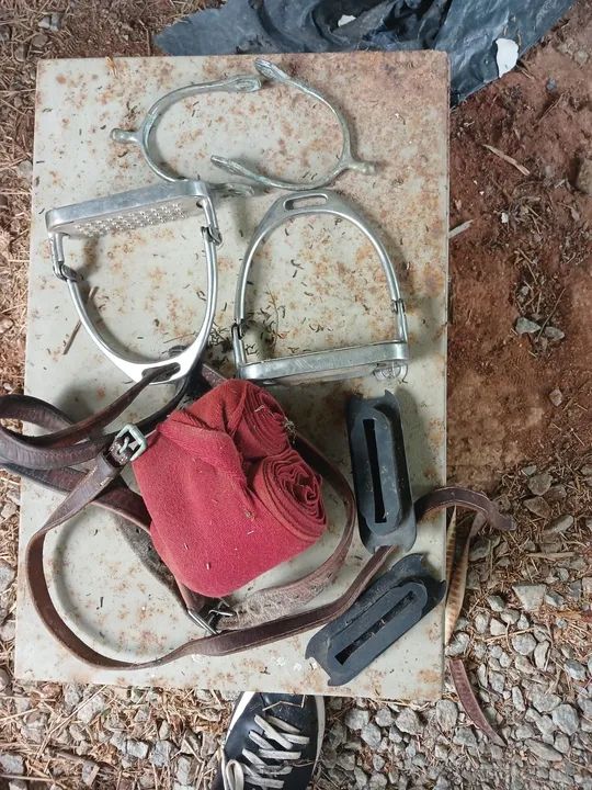 Material para cavalo ?  - Foto 4