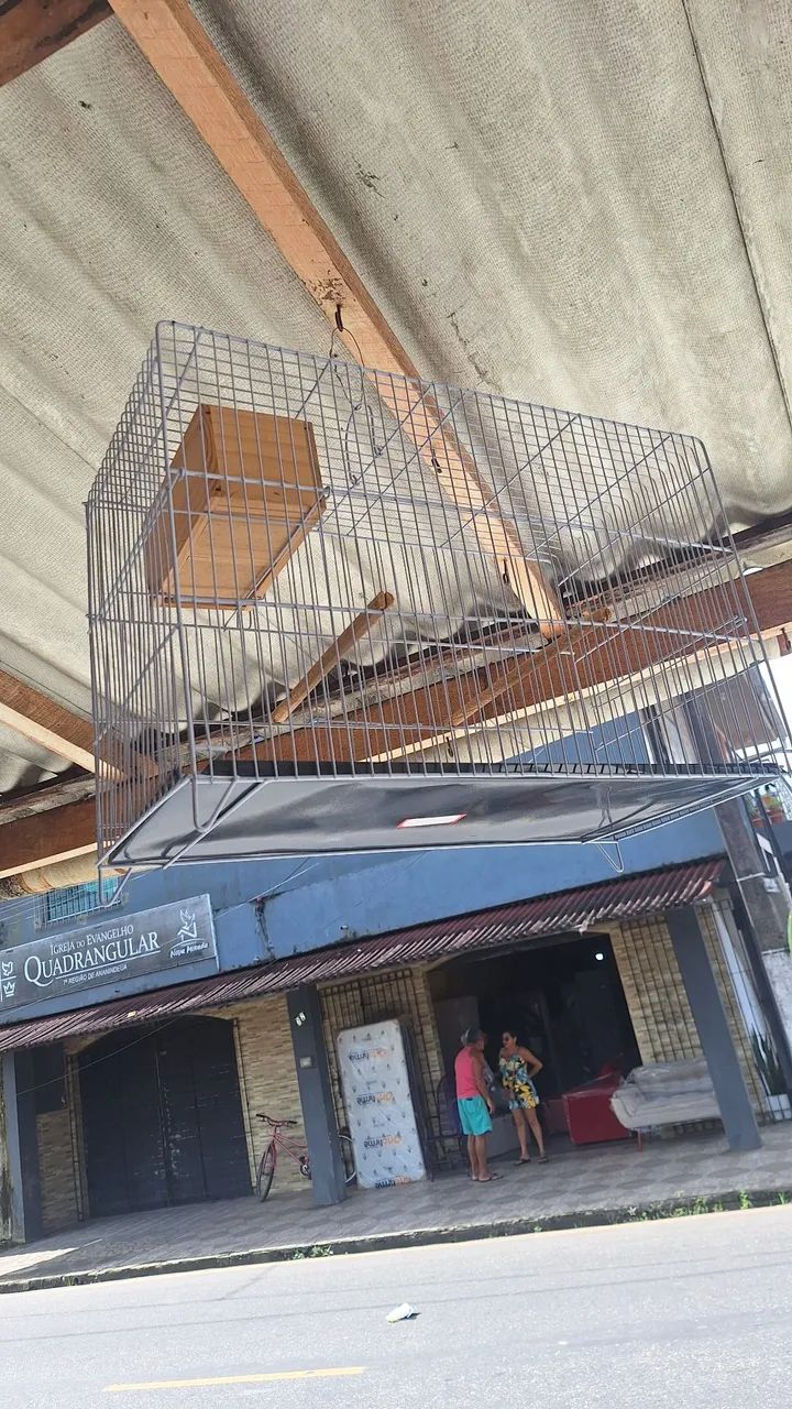 Gaiola para periquito australiano  - Foto 2