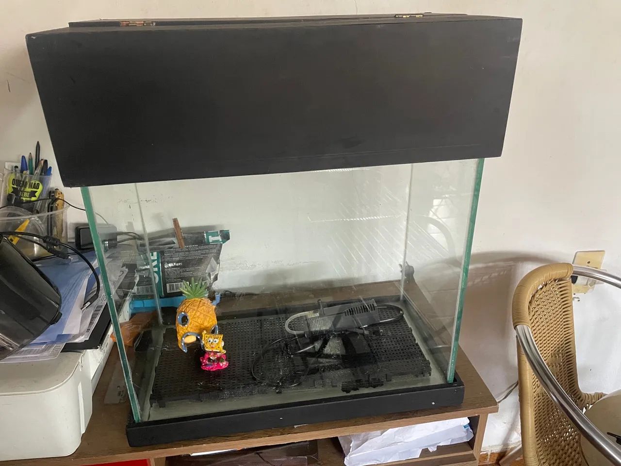 Aquário completo 