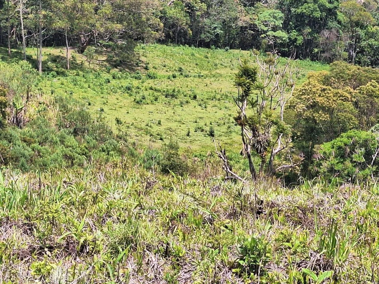 Terreno 40.000m², Delfim Moreira /MG - Foto 11