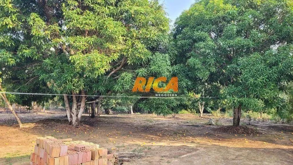 Vende-se uma Excelente Fazenda com 100 Hectares, a apenas 11 km de Porto Velho/RO - Foto 5