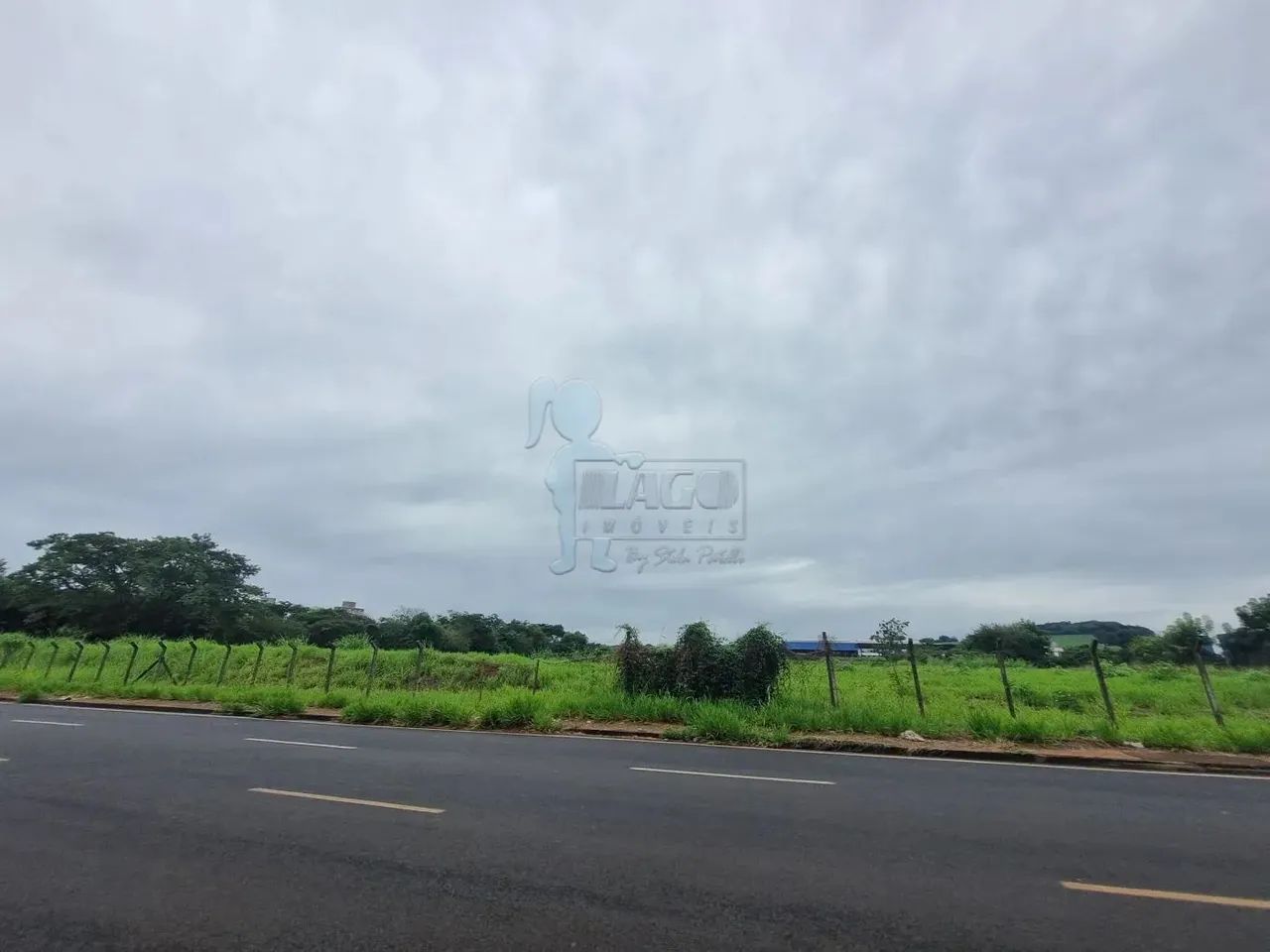Terreno comercial de 20.035m² à venda - Parque Industrial Lagoinha - Foto 2