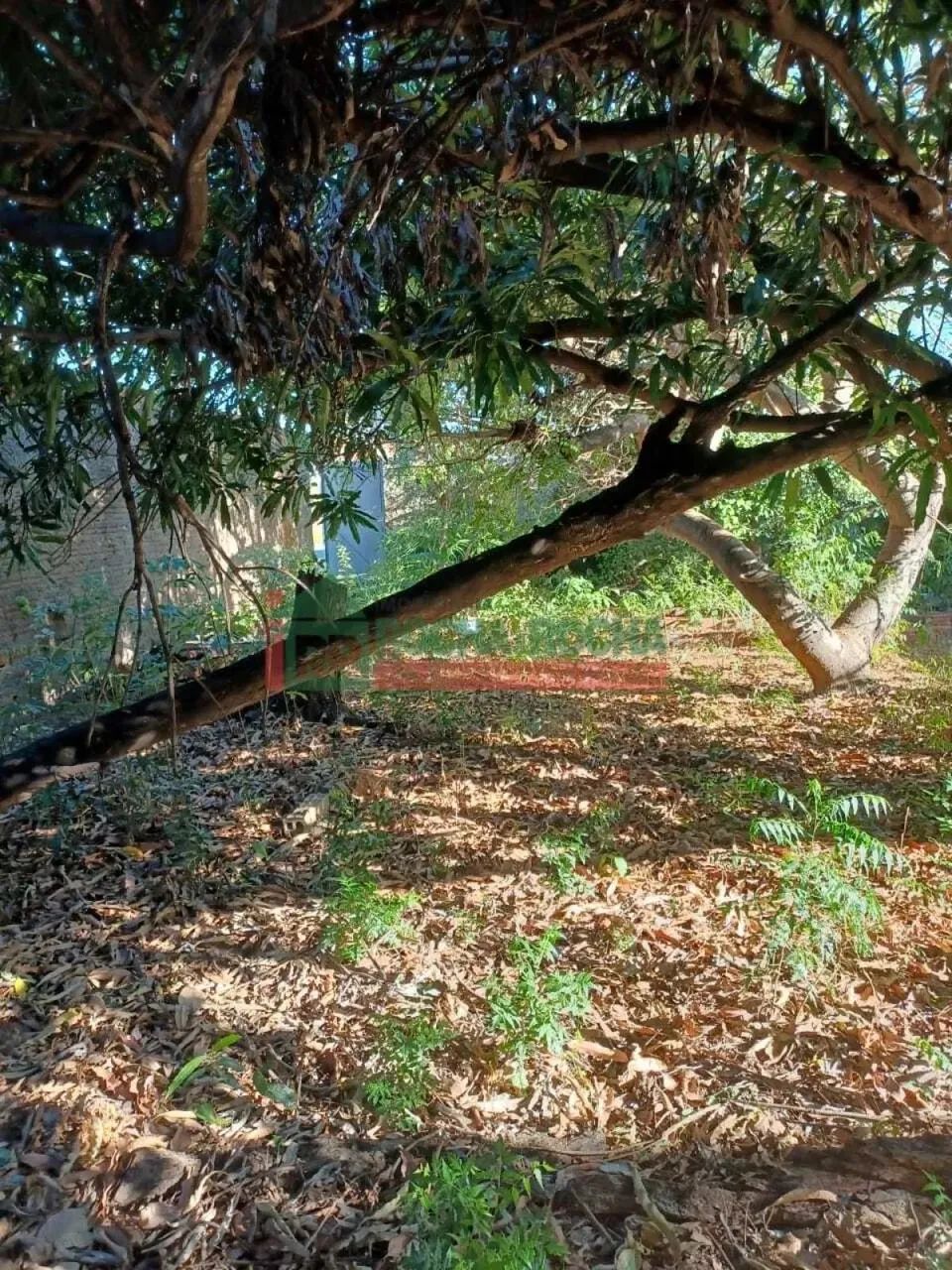 Terreno para alugar com 151,91 metros quadrados no SANTA ISABEL - Teresina - Piauí - Foto 5