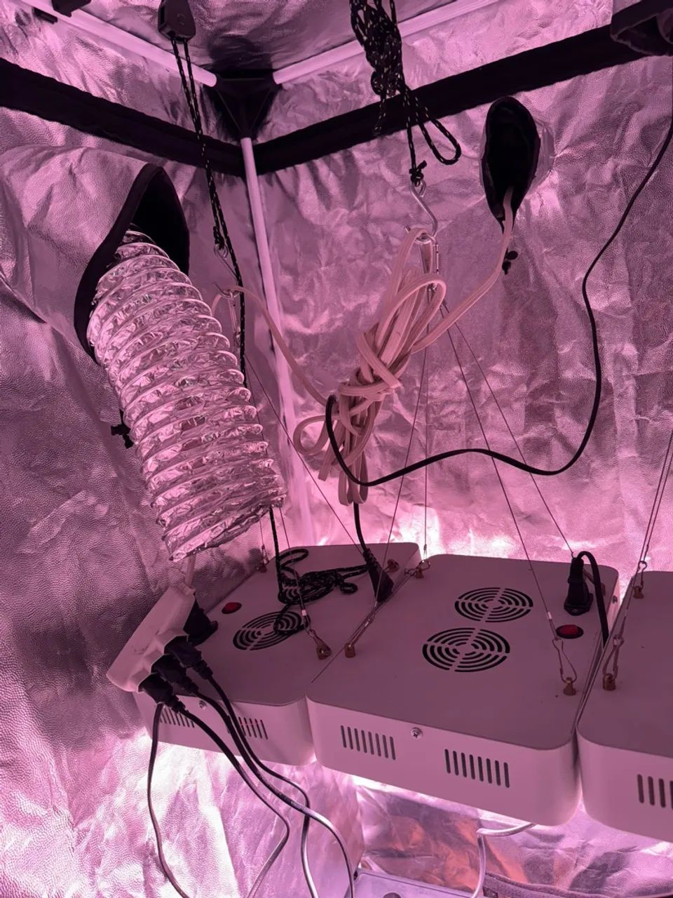 Grow Tent Probox Basic + 3 luminarias 1500w - Foto 3
