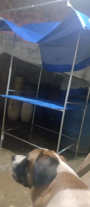 Barraca de feira completa  - Foto 3