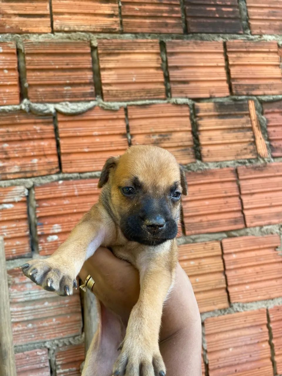 Doação  - Foto 4