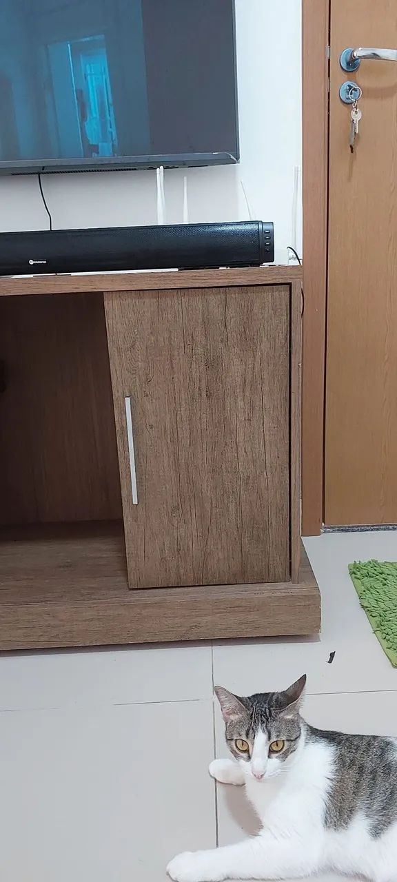 Rack para TV - Foto 2