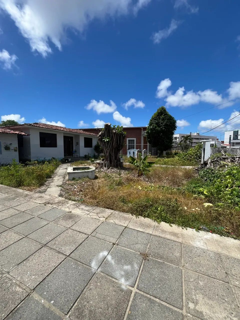 TERRENO BAIRRO DA TORRE - Foto 3