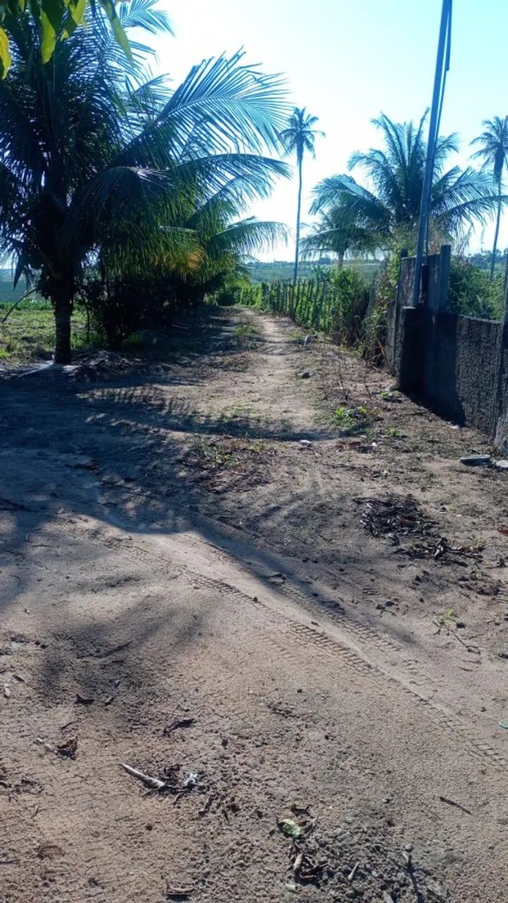 Chácara para Venda - Foto 4