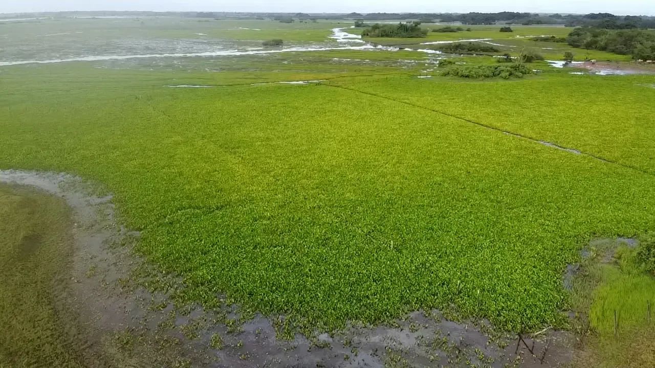 Imóvel para venda tem  metros quadrados com 3 quartos em Centro - Amapá - AP - Foto 5