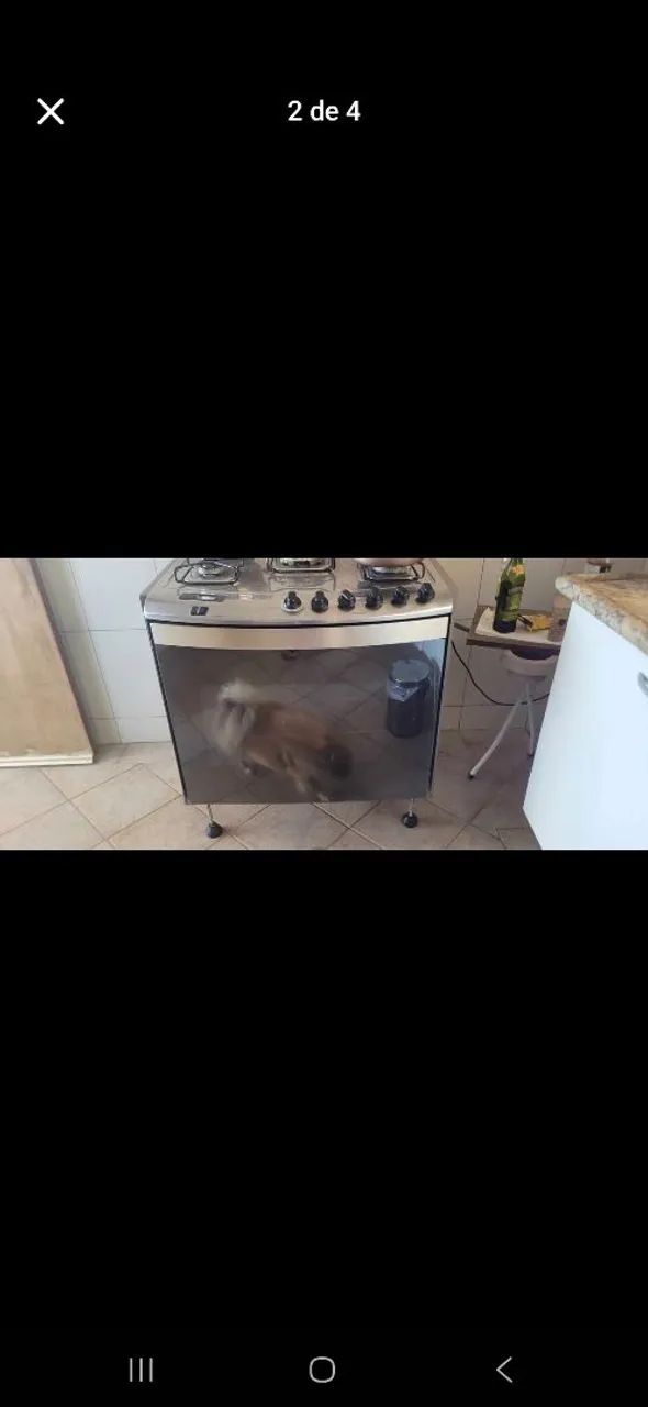 Fogao Brastemp para embutir com5 bocas, elétrico e com timer