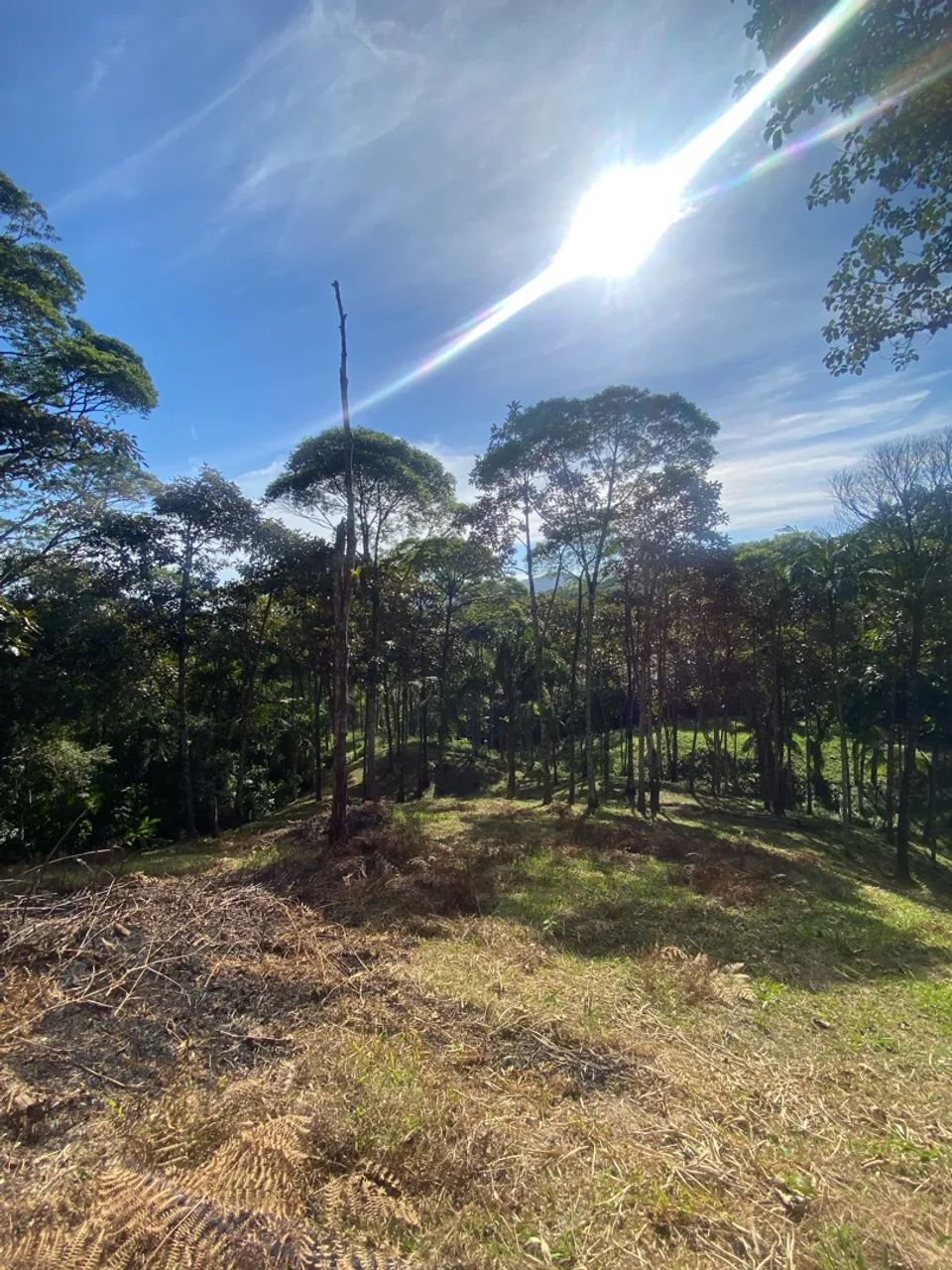 Terreno Condomínio Village Imperatriz 