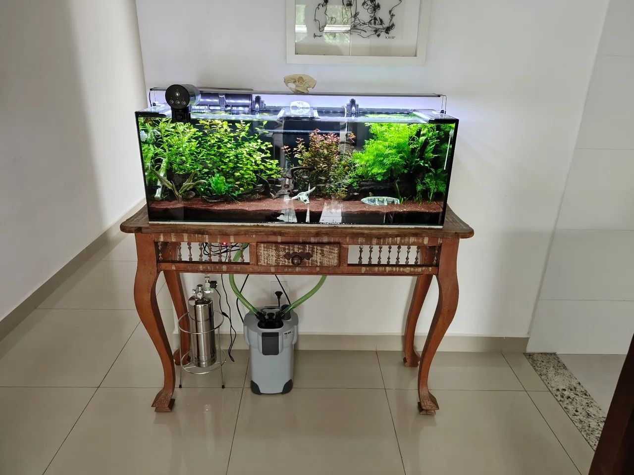 Selling Complete Aquarium!
