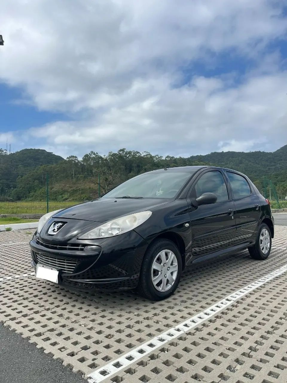 Peugeot 207 207 XR 1.4 FLEX 8V 5P 2012