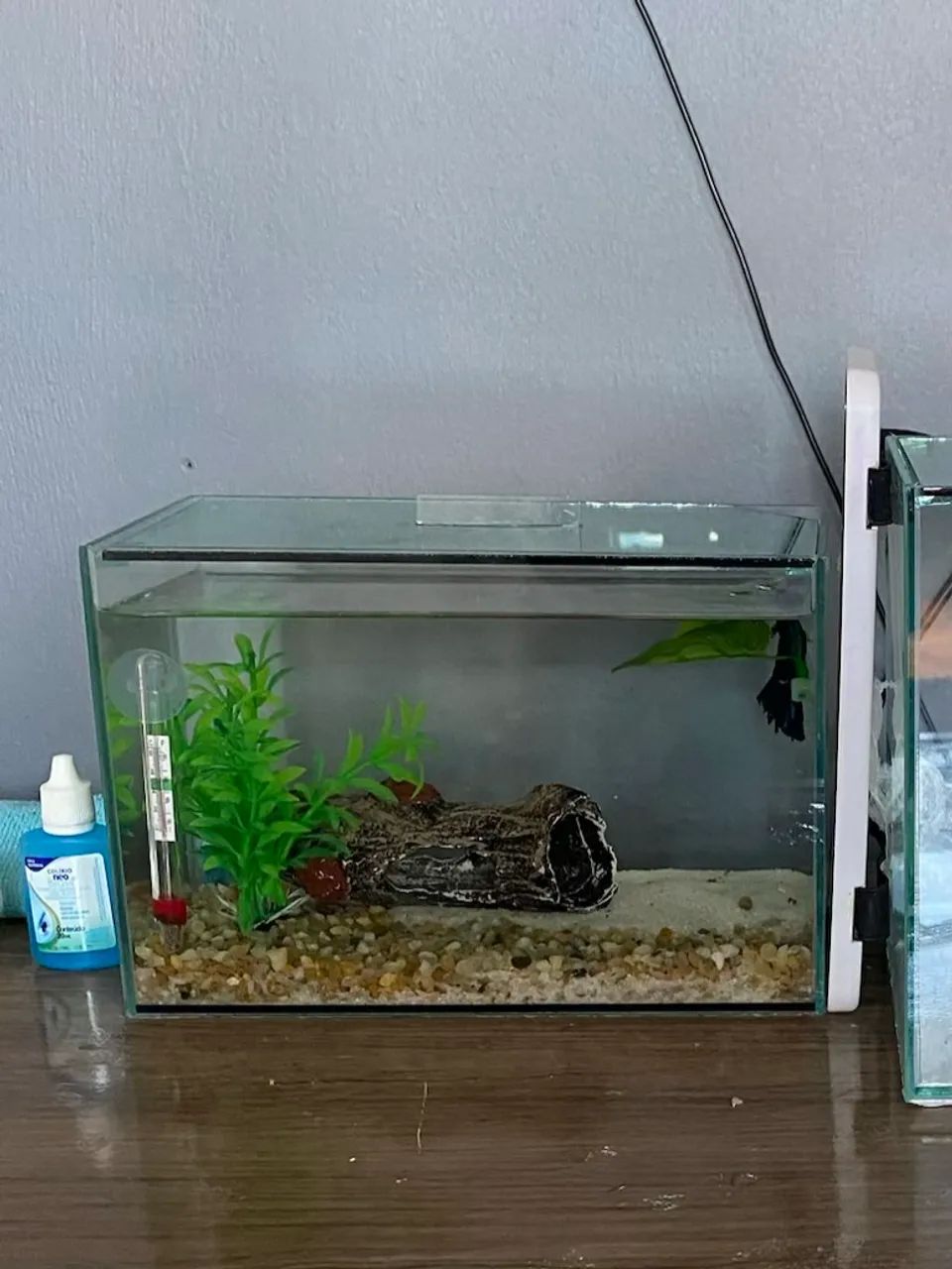 Aquário 5 litros p\ betta 