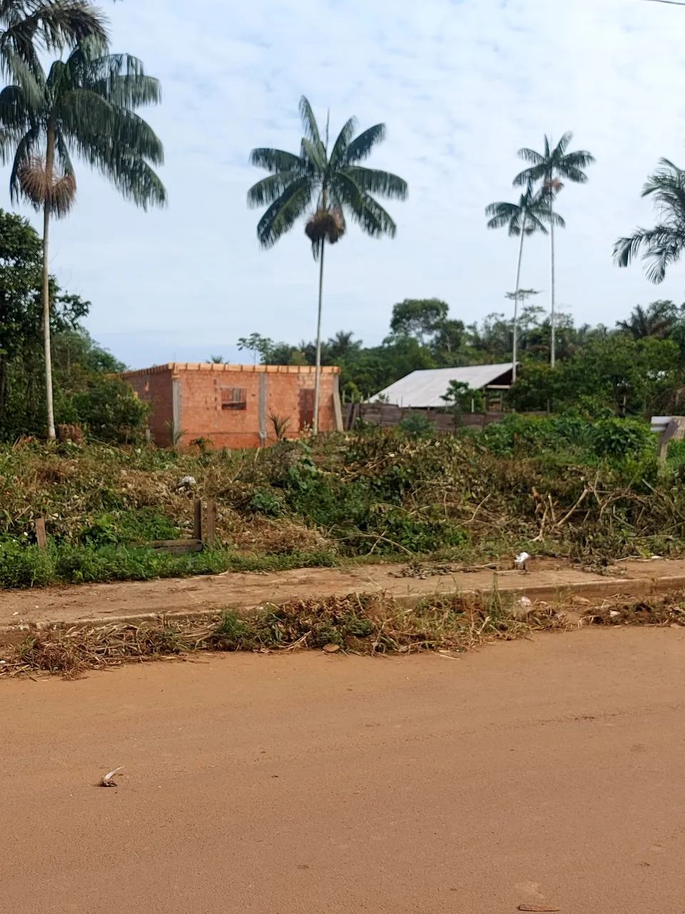Terrenos em Manacapuru Amazonas - Foto 3