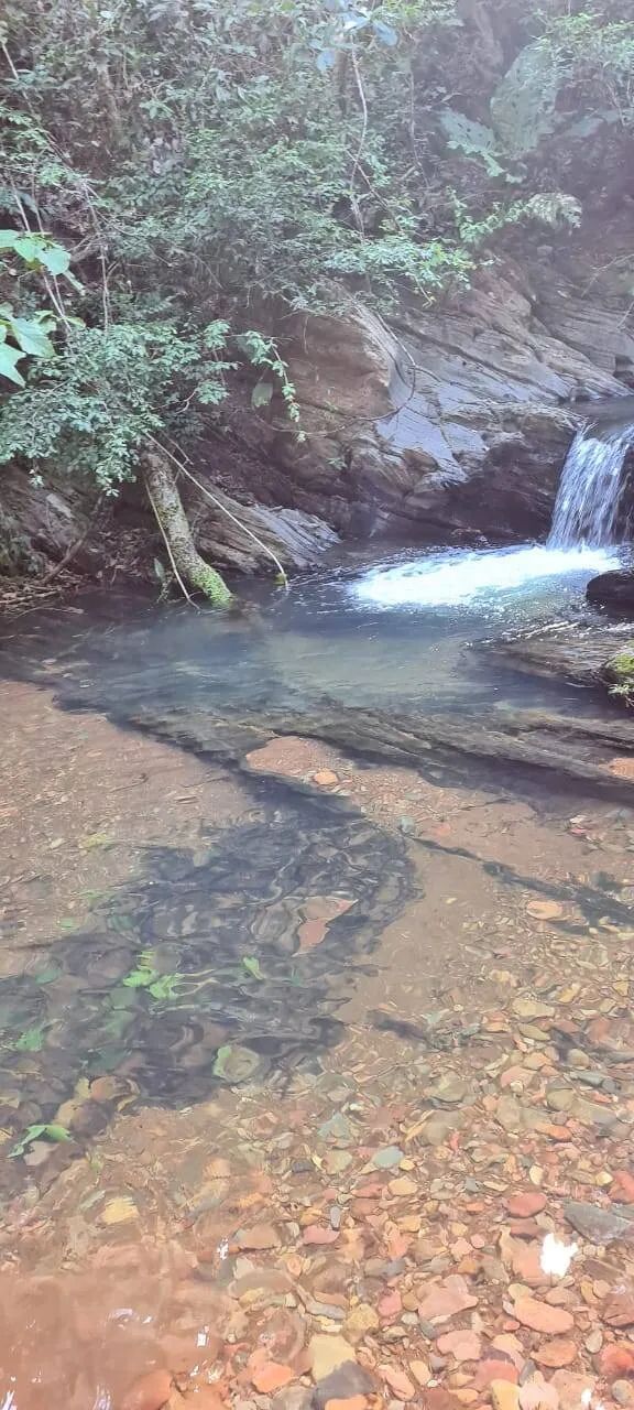Fazenda com 102 Hectares em Chapada dos Guimarães - Foto 5