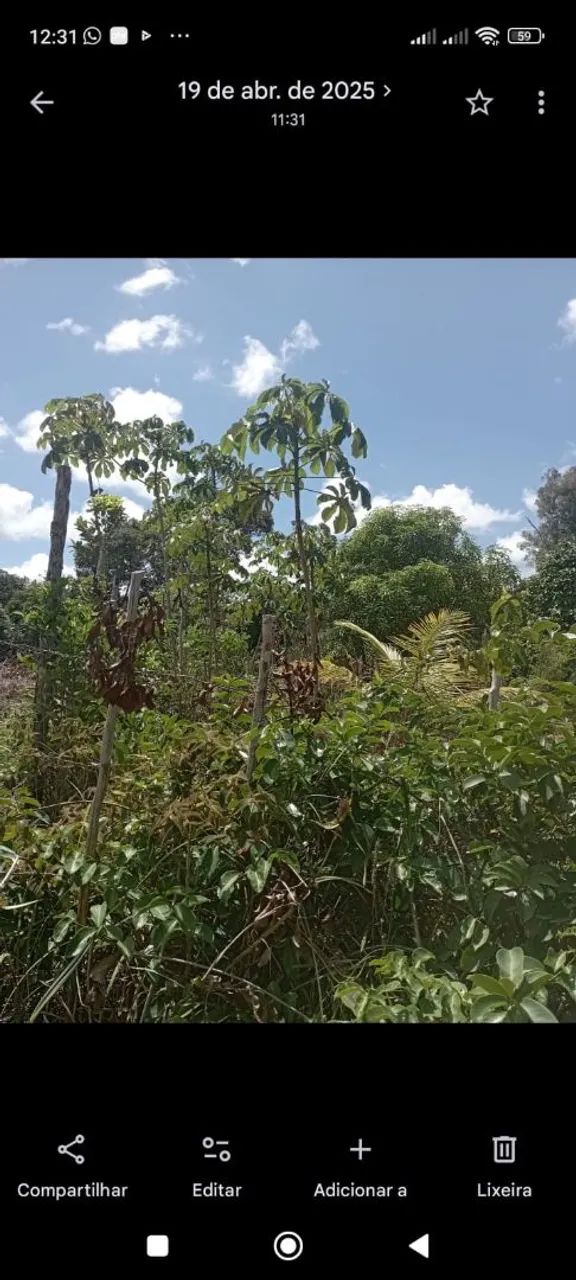 Vendo terreno