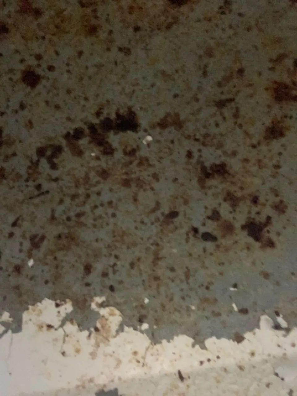 Microondas  - Foto 4