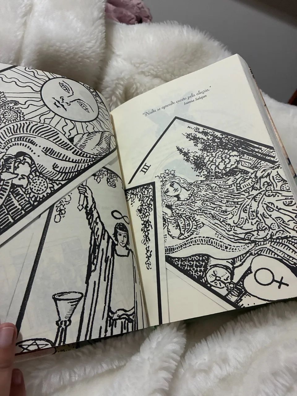 Bíblia Clássica do Tarot - Foto 4