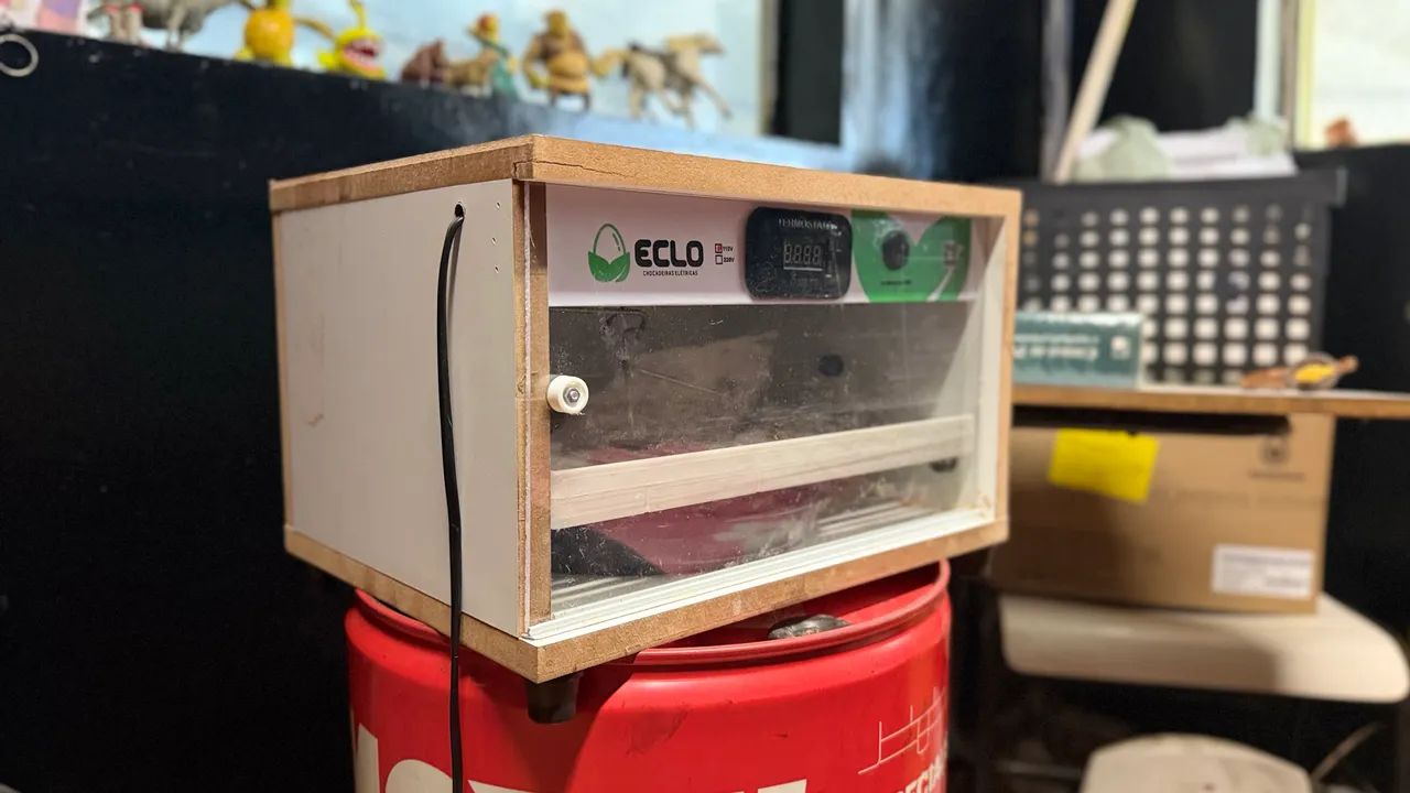 Chocadeira 30 ovos automática 