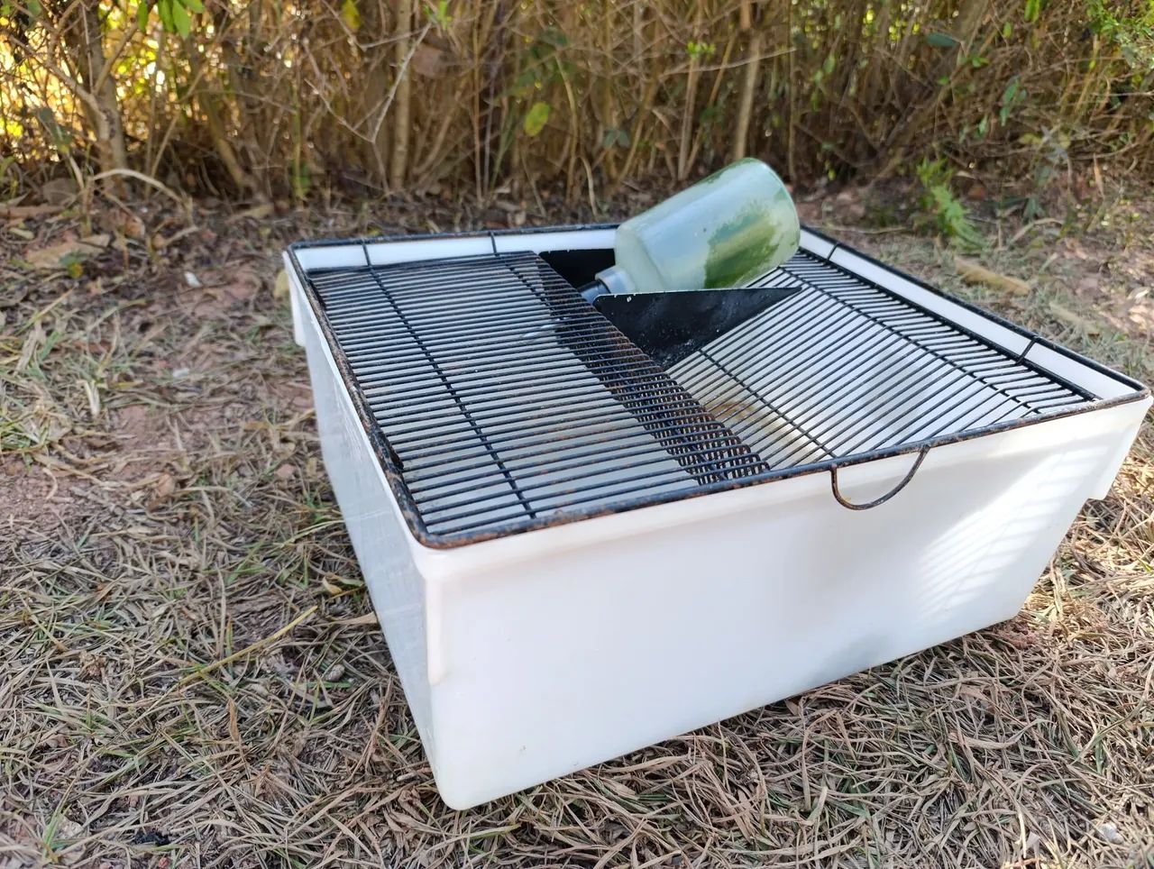 Biotério para camundongos  - Foto 3