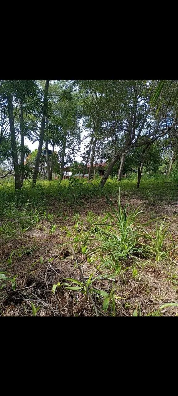 Venda 7 hectares  - Foto 5