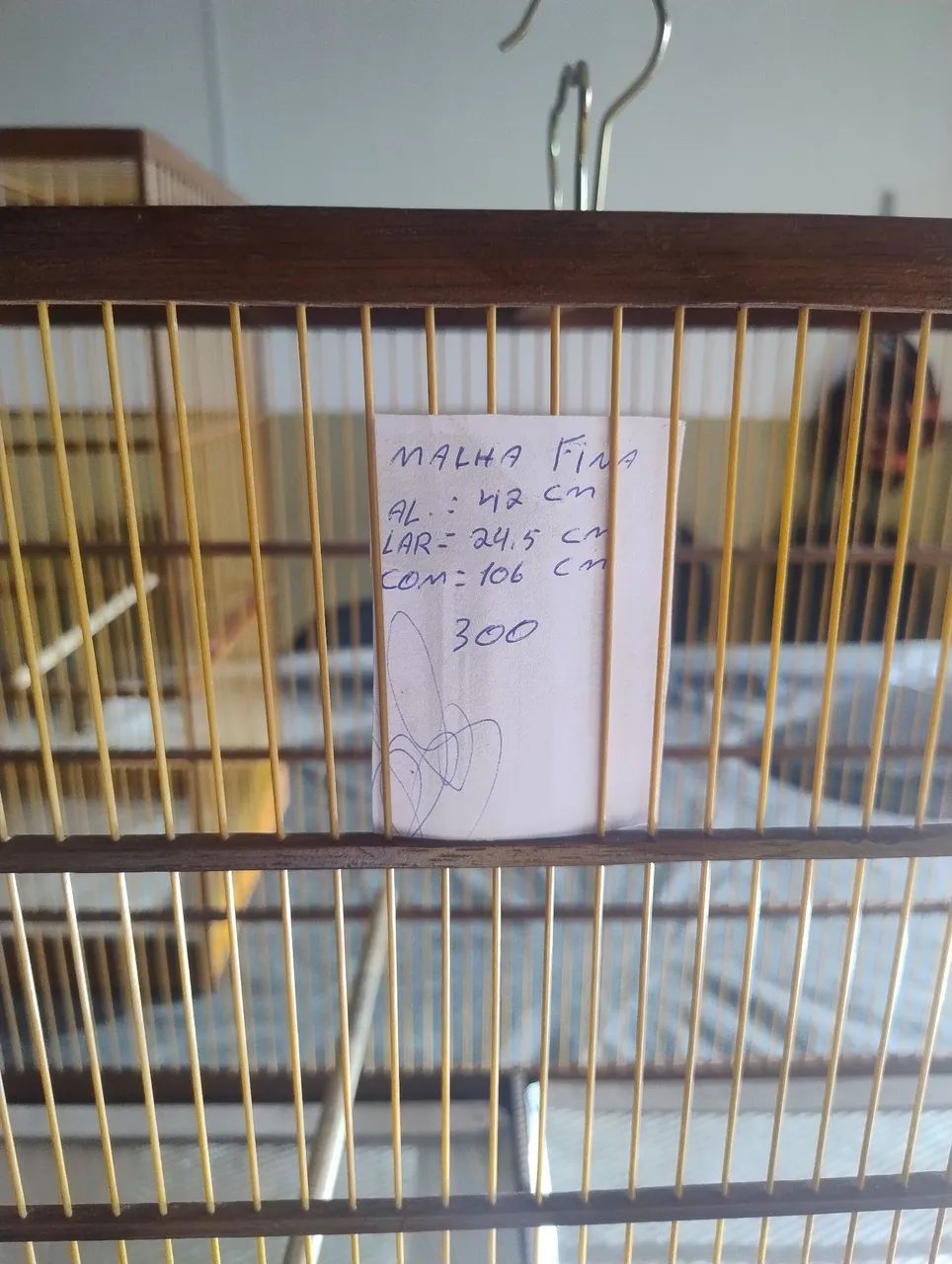 Voador de coleira  - Foto 3