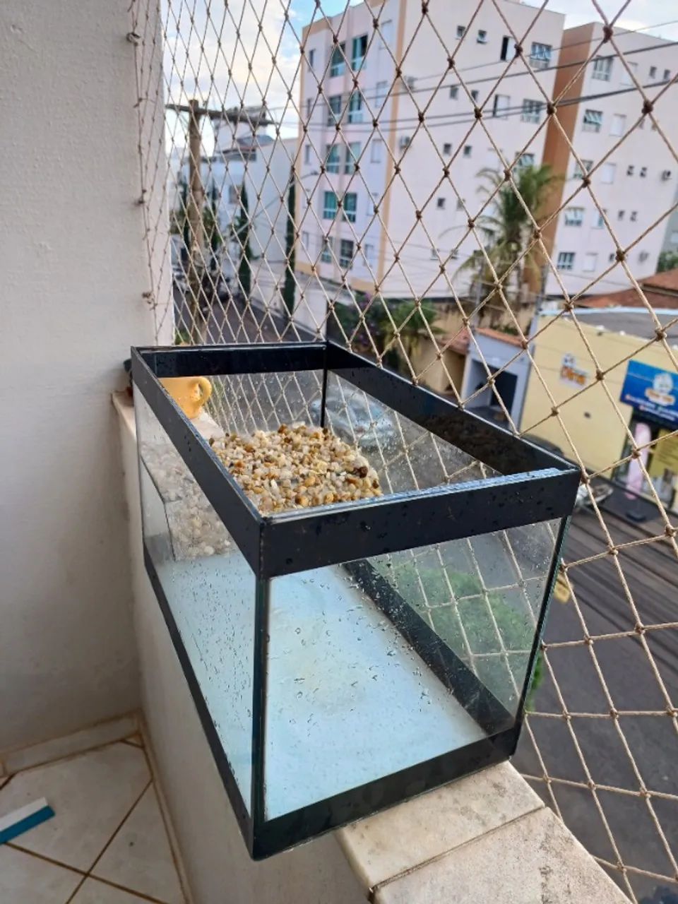 Aquário  - Foto 4