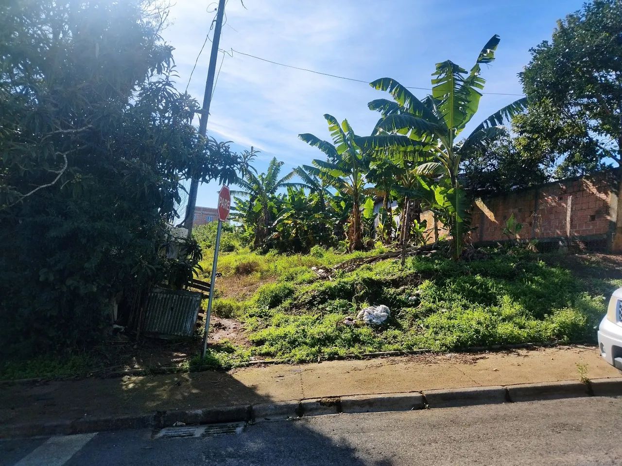 Vende se terreno  - Foto 2