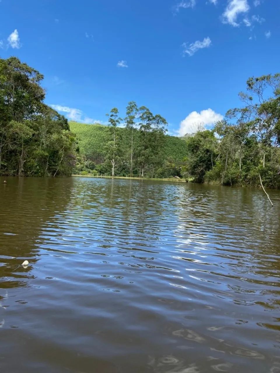 Sítio no Córrego da Baratinha - Timóteo/MG - Foto 3
