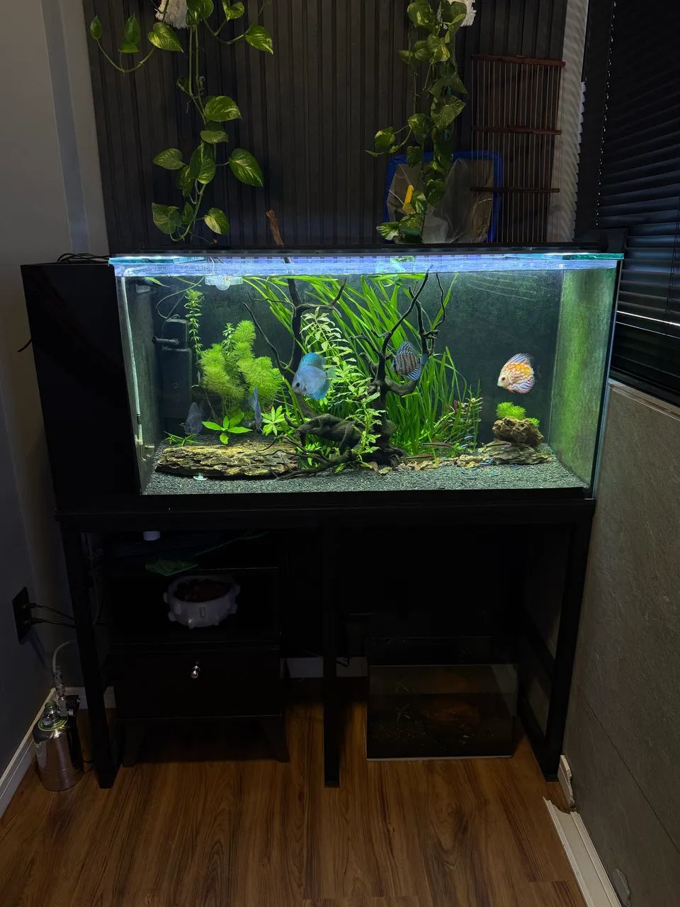 Aquário 1,20m - Foto 4
