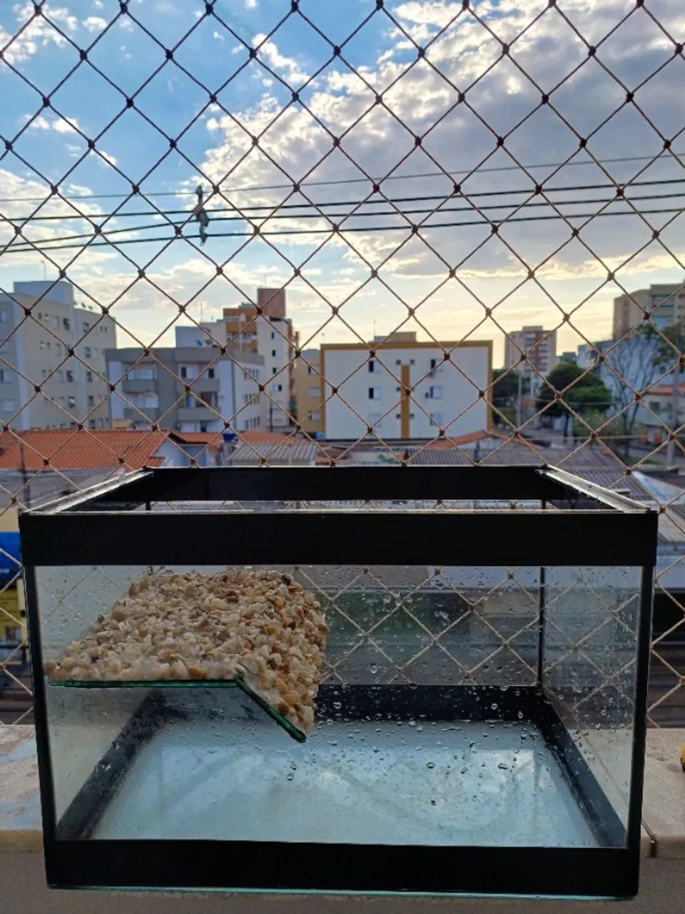 Aquário  - Foto 2